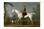 Sir Roger Burgoyne Riding 'Badger' Sir Roger Buroyne Upon His Favourite Horse Badger, With His Bitch Juno by James Seymour