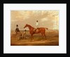 Euphrates 'Euphrates' with Thomas Whitehurst up, and his trainer, Mr. W. Dilly by William Webb