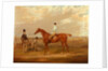 Euphrates 'Euphrates' with Thomas Whitehurst up, and his trainer, Mr. W. Dilly by William Webb