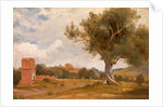 A View at Girgenti in Sicily with the Temple of Concord and Juno, Italy by Charles Lock Eastlake
