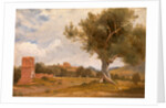 A View at Girgenti in Sicily with the Temple of Concord and Juno, Italy by Charles Lock Eastlake