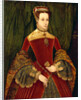 Portrait of a woman, aged sixteen, previously identified as Mary Fitzalan, Duchess of Norfolk, 1565 by Hans Eworth