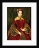 Portrait of a woman, aged sixteen, previously identified as Mary Fitzalan, Duchess of Norfolk, 1565 by Hans Eworth