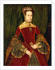 Portrait of a woman, aged sixteen, previously identified as Mary Fitzalan, Duchess of Norfolk, 1565 by Hans Eworth