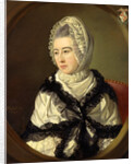Portrait of a Lady by John Russell