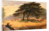 Lovers in Richmond Park (Windsor Park), London by James Smetham