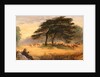 Lovers in Richmond Park (Windsor Park), London by James Smetham