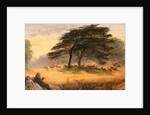 Lovers in Richmond Park (Windsor Park), London by James Smetham