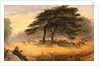 Lovers in Richmond Park (Windsor Park), London by James Smetham