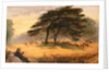 Lovers in Richmond Park (Windsor Park), London by James Smetham