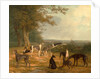 Nine Greyhounds in a Landscape by Jacques-Laurent Agasse