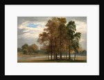 Hyde Park, London by John Martin