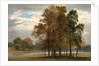 Hyde Park, London by John Martin