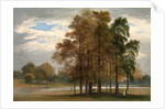 Hyde Park, London by John Martin