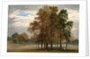Hyde Park, London by John Martin