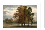 Hyde Park, London by John Martin