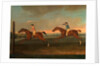 The Match between Aaron and Driver at Maidenhead, Aug. 1754: Aaron winning the Second Heat, c. 1754 by Richard Roper