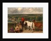 Exercising the Royal Horses by John Frederick Herring