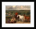 Exercising the Royal Horses by John Frederick Herring