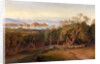Corfu from Ascension by Edward Lear