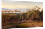 Corfu from Ascension by Edward Lear