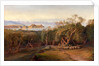 Corfu from Ascension by Edward Lear