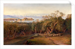 Corfu from Ascension by Edward Lear