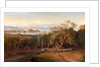 Corfu from Ascension by Edward Lear