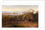 Corfu from Ascension by Edward Lear
