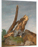 Study of Rocks and Branches by George Augustus Wallis