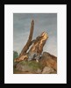 Study of Rocks and Branches by George Augustus Wallis