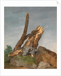 Study of Rocks and Branches by George Augustus Wallis