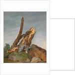 Study of Rocks and Branches by George Augustus Wallis