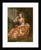 Mrs. Mary Chauncey a Young Woman by Francis Hayman