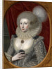 Portrait of a Woman, Possibly Frances Cotton by The Elder
