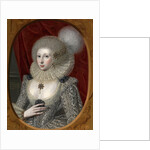 Portrait of a Woman, Possibly Frances Cotton by The Elder