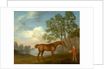 Pumpkin with a Stable-lad by George Stubbs