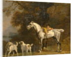 Studies for or after 'The 3rd Duke of Richmond with the Charleton Hunt' by George Stubbs