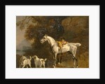 Studies for or after 'The 3rd Duke of Richmond with the Charleton Hunt' by George Stubbs