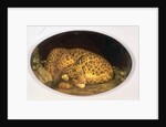 Sleeping Leopard by George Stubbs