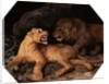 Lion and Lioness by George Stubbs