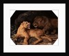 Lion and Lioness by George Stubbs
