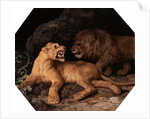 Lion and Lioness by George Stubbs