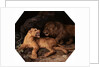 Lion and Lioness by George Stubbs