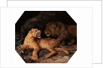 Lion and Lioness by George Stubbs