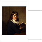 Portrait of a Boy An Unknown Boy by Sir William Beechey