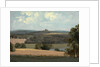 Trentham Park by Trentham Park