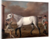 The Duke of Hamilton's Grey Racehorse, 'Victorious,' at Newmarket by John Wootton