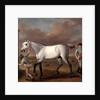 The Duke of Hamilton's Grey Racehorse, 'Victorious,' at Newmarket by John Wootton