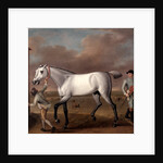 The Duke of Hamilton's Grey Racehorse, 'Victorious,' at Newmarket by John Wootton